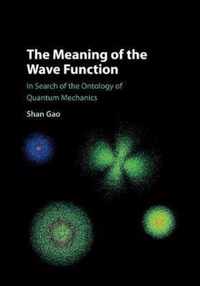 The Meaning of the Wave Function