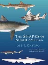 The Sharks of North America