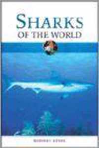 Sharks Of The World