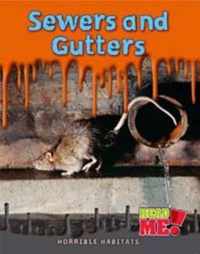 Sewers and Gutters