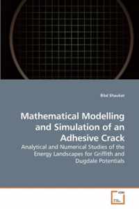 Mathematical Modelling and Simulation of an Adhesive Crack