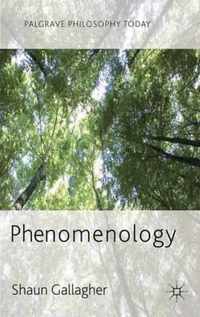 Phenomenology