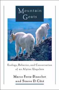 Mountain Goats