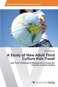 A Study of How Adult Third Culture Kids Travel