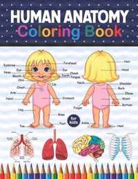 Human Anatomy Coloring Book For Kids