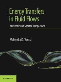 Energy Transfers in Fluid Flows