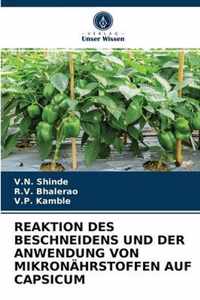 Reaktion Des Beschneidens Und Der Anwendung Von Mikronahrstoffen Auf Capsicum