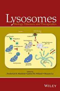 Lysosomes: Biology, Diseases, and Therapeutics