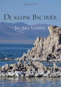 De kleine Bactrier