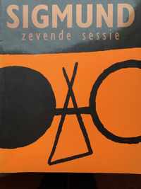 Sigmund Zevende Sessie24