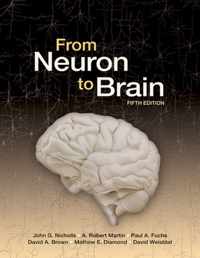 From Neuron to Brain