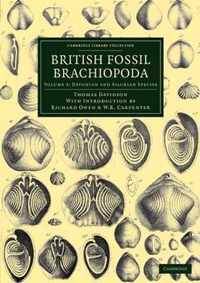 British Fossil Brachiopoda