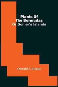 Plants Of The Bermudas