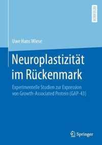 Neuroplastizitat im Ruckenmark