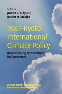 Post-Kyoto International Climate Policy