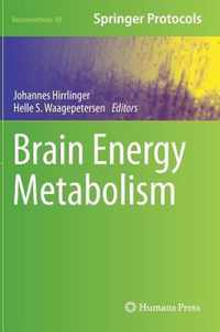 Brain Energy Metabolism