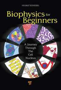 Biophysics for Beginners: A Journey Through the Cell Nucleus