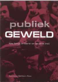 Publiek Geweld