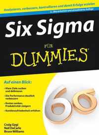 Six Sigma fur Dummies