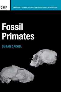 Fossil Primates