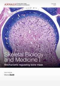 Skeletal Biology and Medicine I