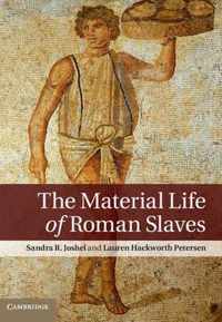 The Material Life of Roman Slaves