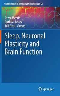 Sleep, Neuronal Plasticity and Brain Function