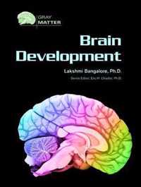 Brain Development