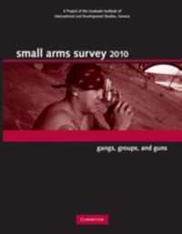 Small Arms Survey 2010