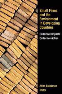 Small Firms and the Environment in Developing Countries