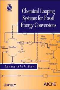 Chemical Looping Systems for Fossil Energy Conversions