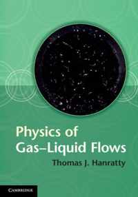 Physics Of Gas-Liquid Flows