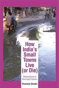 How India's Small Towns Live (Or Die)