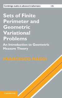 Sets Finite Perimeter & Geometric Variat