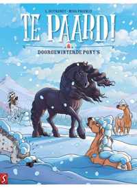 Te paard 06. doorgewinterde pony's