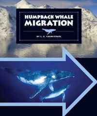 Humpback Whale Migration