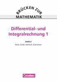 Brücken zur Mathematik IV