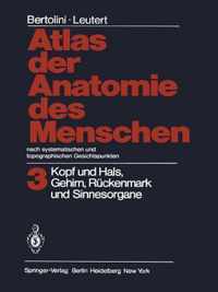 Atlas Der Anatomie Des Menschen Nach Systematischen Und Topographischen Gesichtspunkten: Band 3