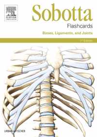 Sobotta Flashcards Bones, Ligaments, and Joints