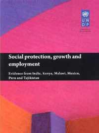 Social protection, growth and employment