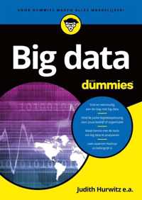 Voor Dummies  -   Big data voor Dummies