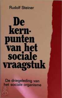 De kernpunten van het sociale vraagstuk