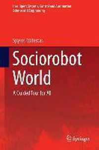 Sociorobot World