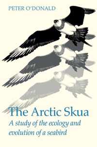 The Arctic Skua