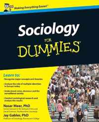 Sociology For Dummies