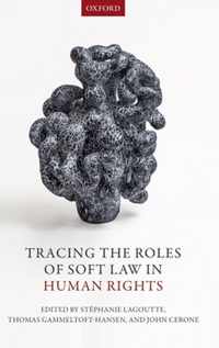 Tracing the Roles of Soft Law in Human Rights