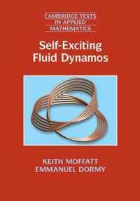 Self-Exciting Fluid Dynamos