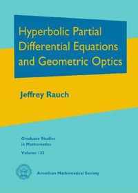 Hyperbolic Partial Differential Equations and Geometric Optics