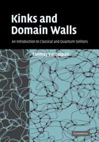 Kinks and Domain Walls