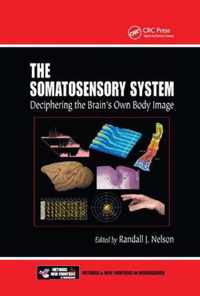 The Somatosensory System